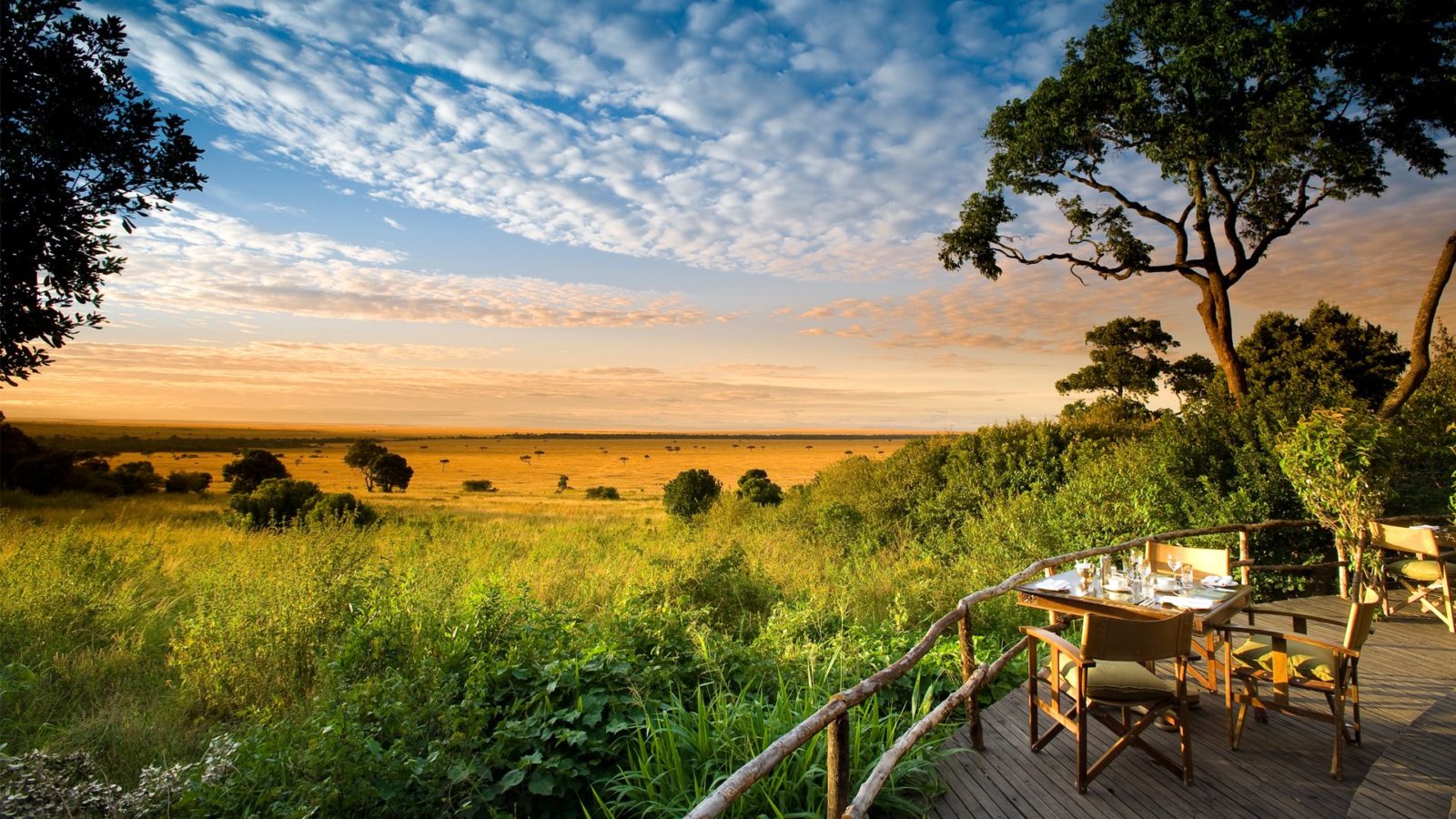Masai Mara Safaris | Daydream Safaris | Kenya Safaris