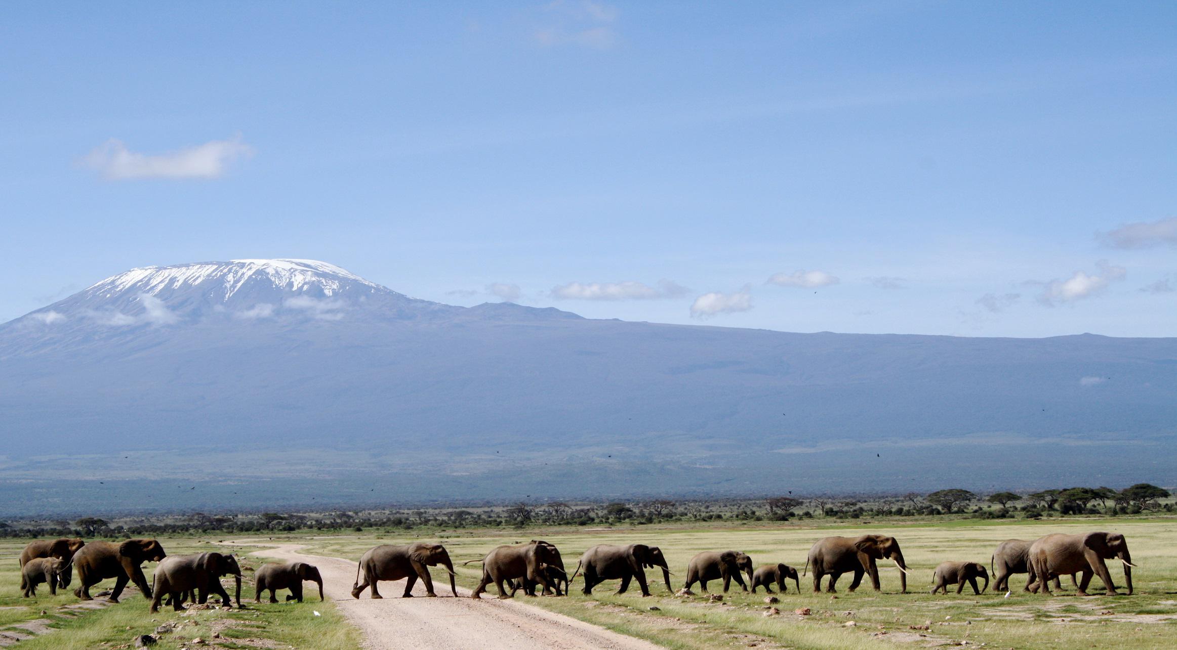 Kenya Safaris | Daydream Safaris | Amboseli Safari Tours