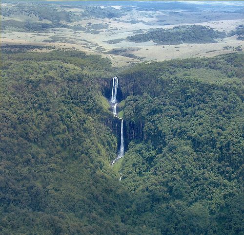 2 Days Aberdare National Park Safari. | Aberdare National Park.