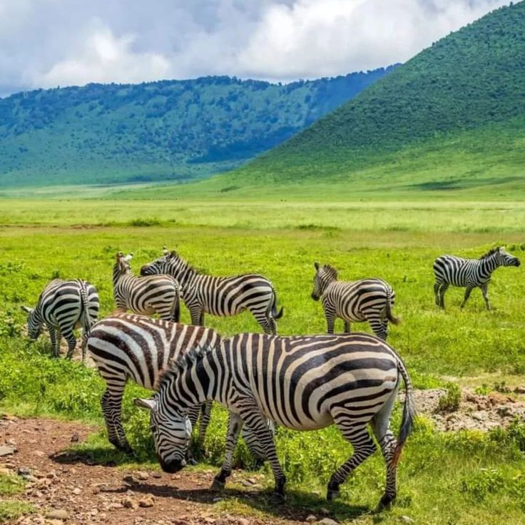 Africa Popular Safaris