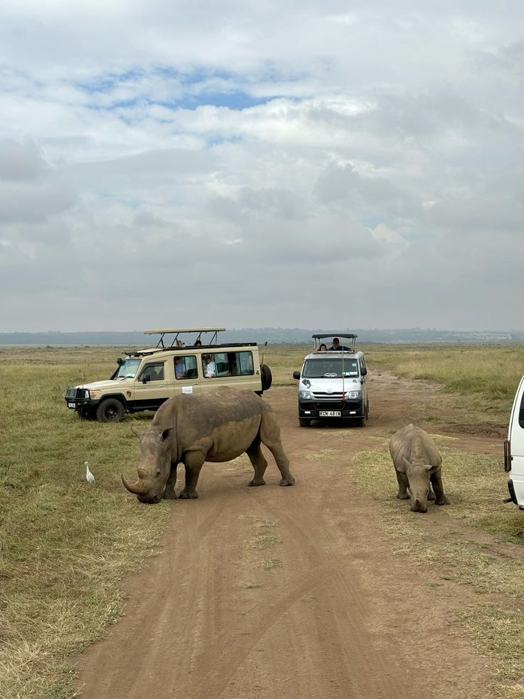 Nairobi Day Trip