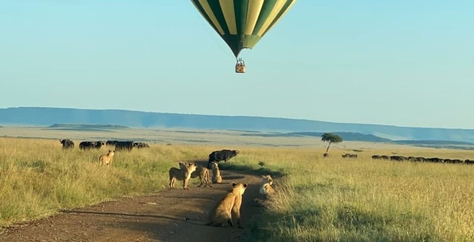 mara Balloon