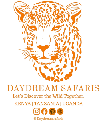 Daydream Safaris